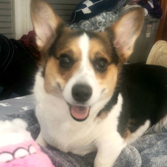 Meet your Posher, Michele - Picture 4 of 11